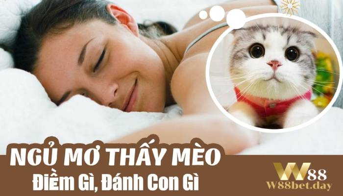 Nằm mơ thấy mèo con đánh con gì